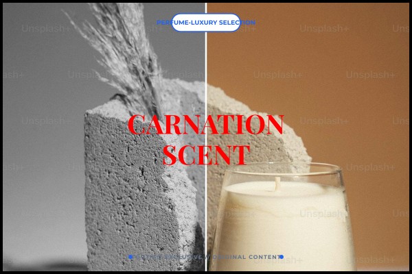 carnation scent