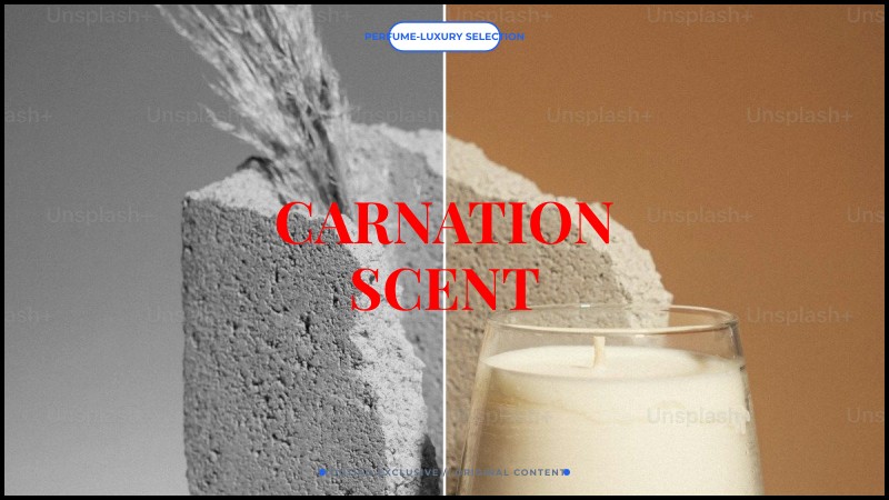 carnation scent
