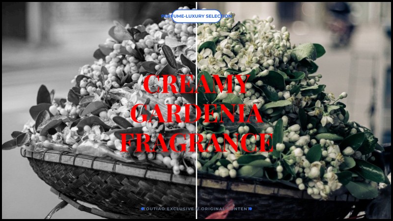 creamy gardenia fragrance